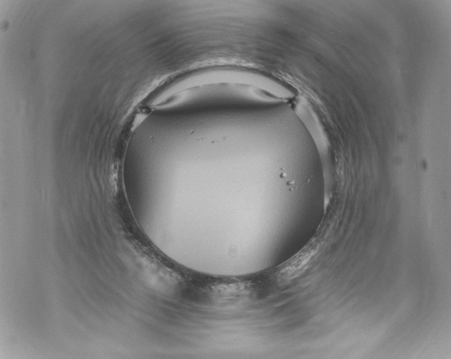 X0000071860160200607290206