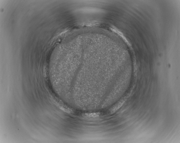 X0000071860161200607290206