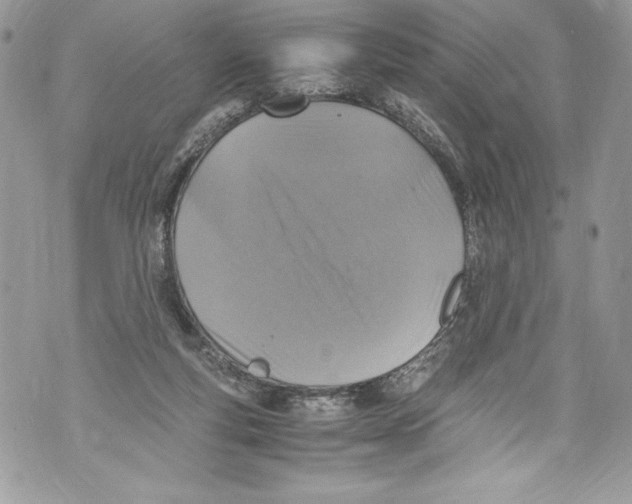 X0000071860163200607290206