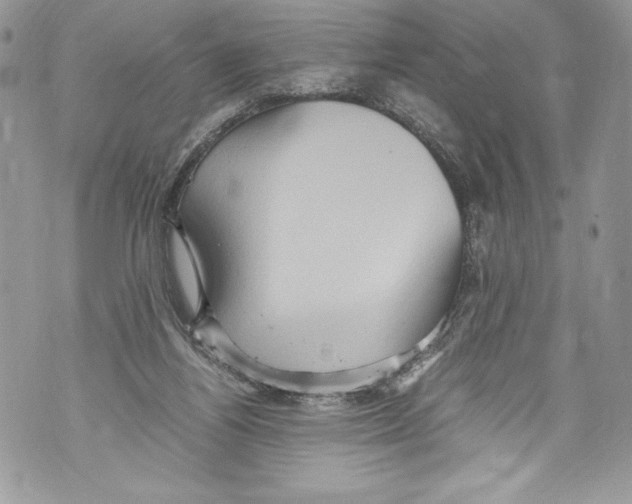 X0000071860164200607290206