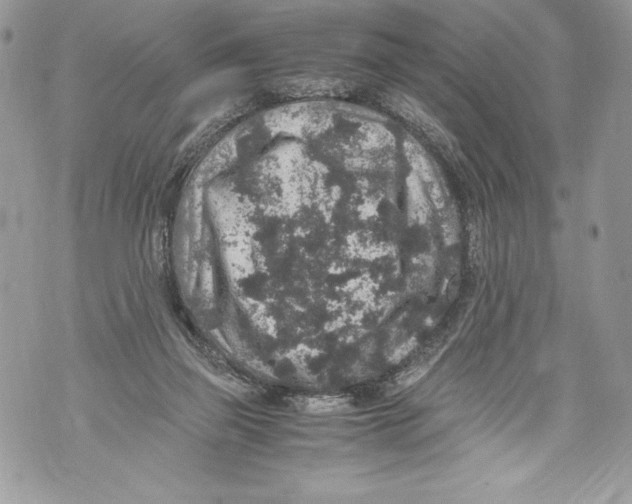 X0000071860165200607290206