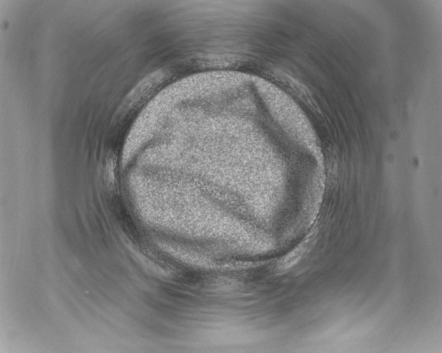 X0000071860166200607290206