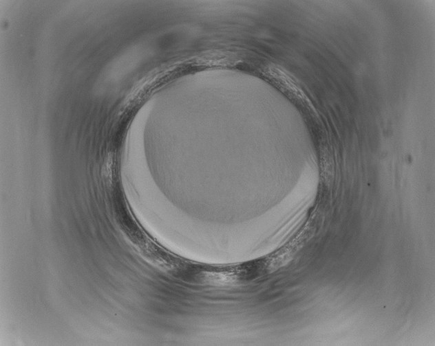 X0000071860167200607290206