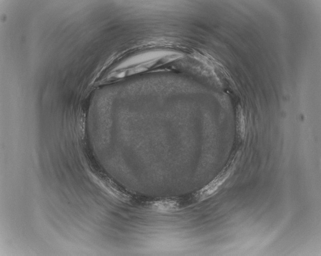 X0000071860168200607290206