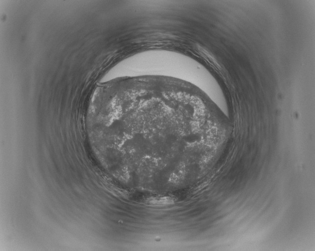 X0000071860169200607290206