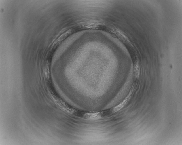 X0000071860170200607290206