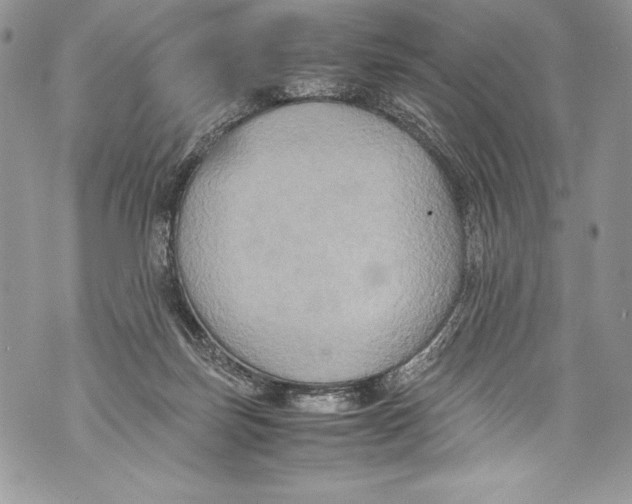 X0000071860171200607290206