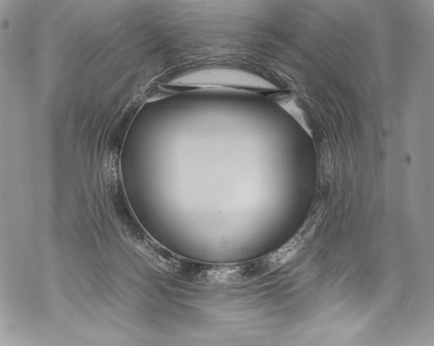 X0000071860172200607290206