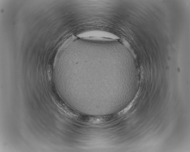 X0000071860174200607290206