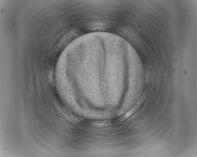 X0000071860175200607290206