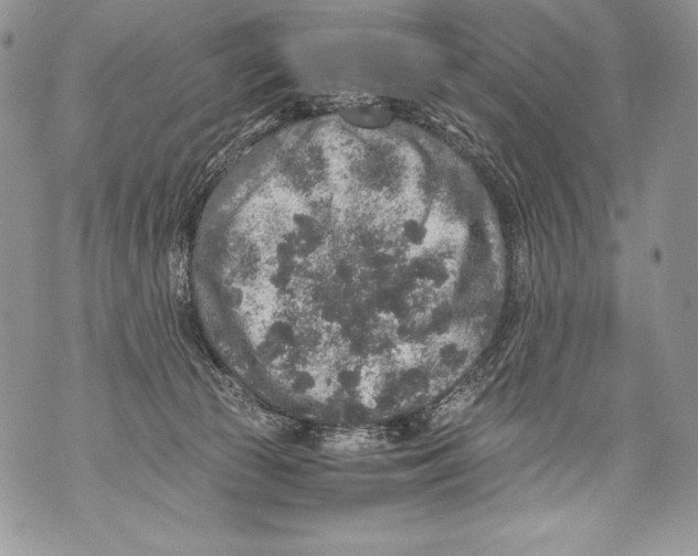 X0000071860177200607290206