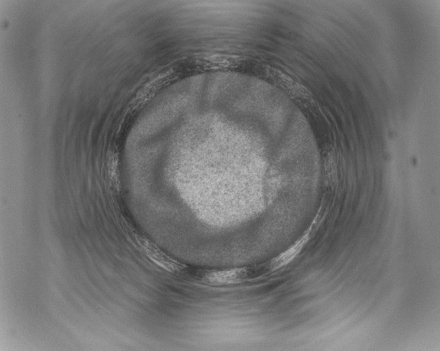 X0000071860178200607290206