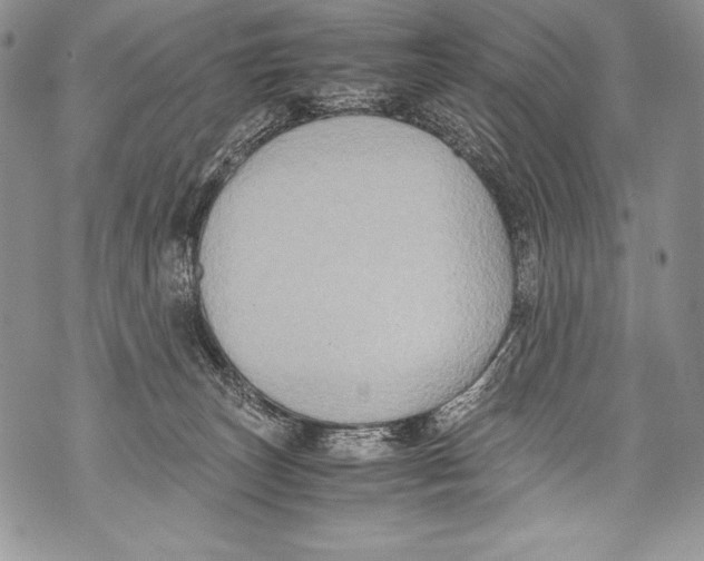 X0000071860179200607290206