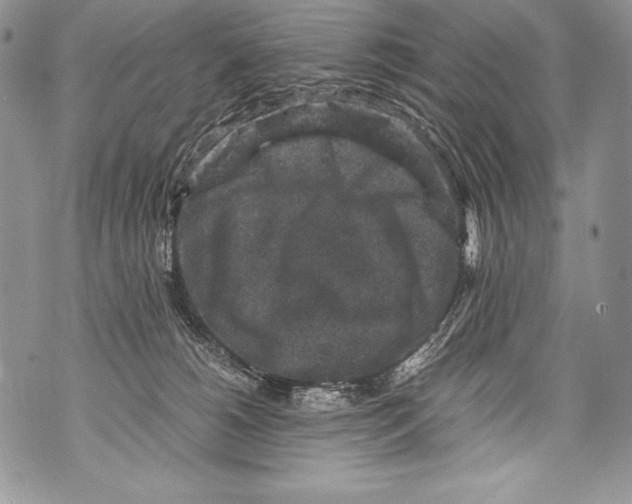 X0000071860180200607290206