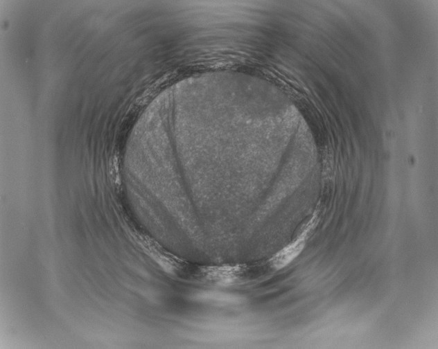 X0000071860182200607290206