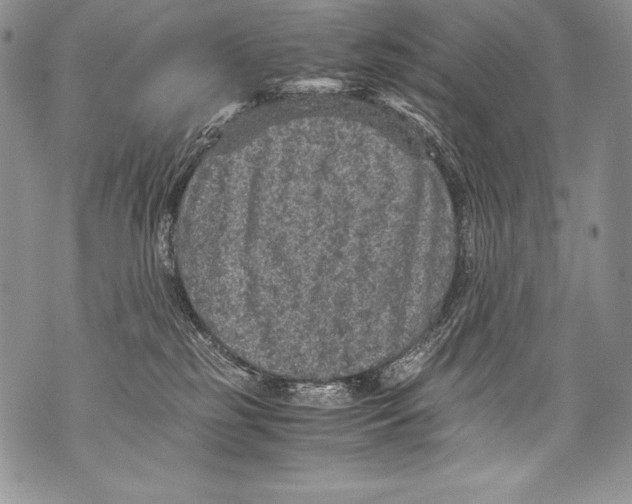 X0000071860185200607290206