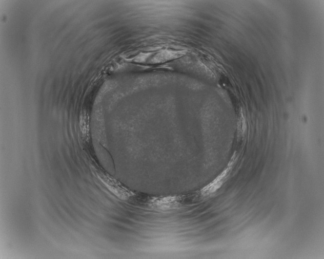 X0000071860186200607290206