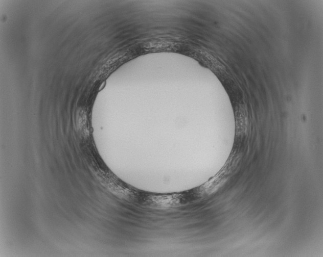 X0000071860187200607290206