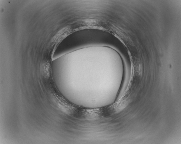 X0000071860188200607290206