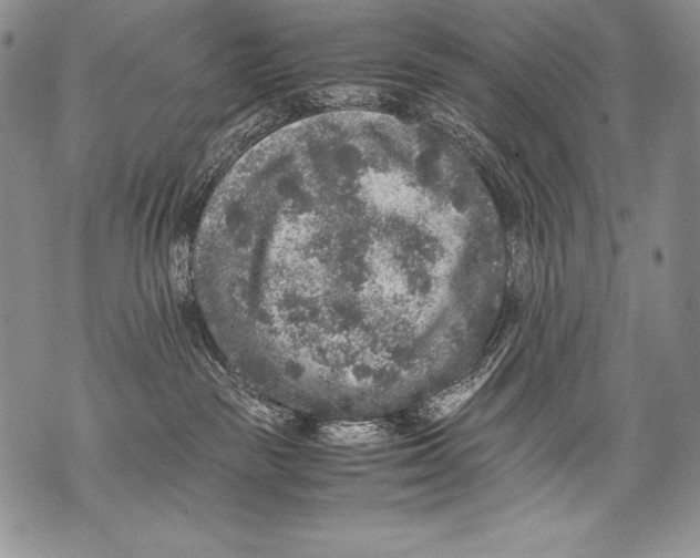 X0000071860189200607290206