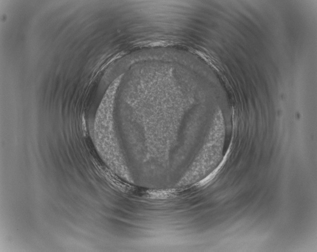 X0000071860190200607290206