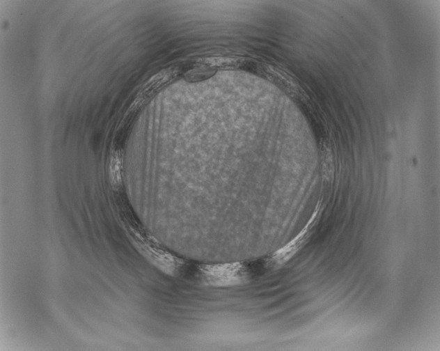 X0000071860191200607290206