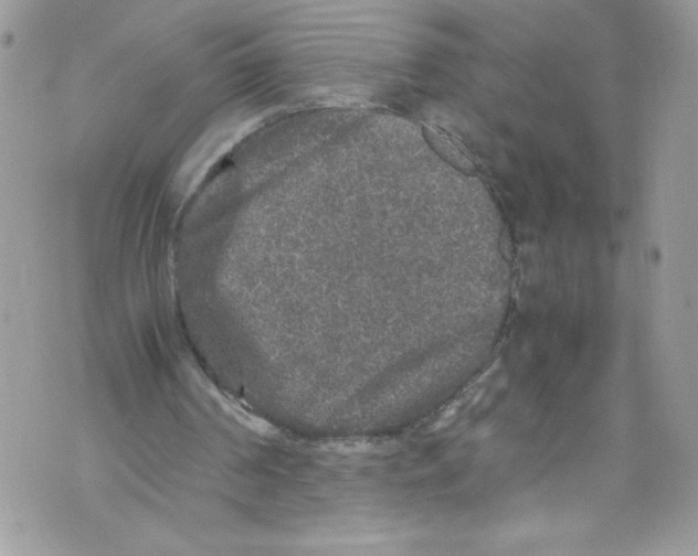 X0000071860194200607290206