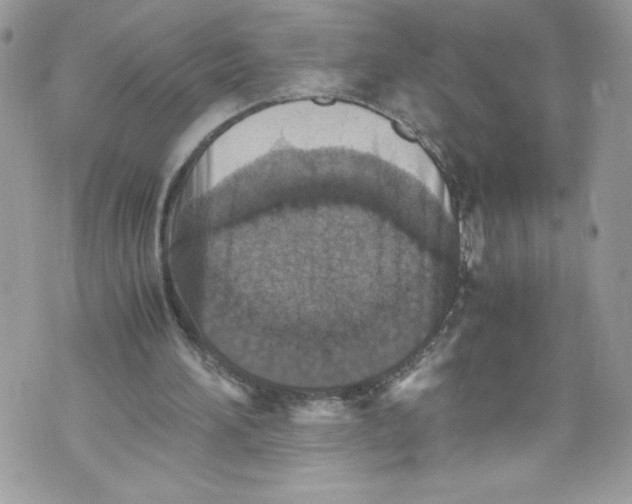 X0000071860196200607290206