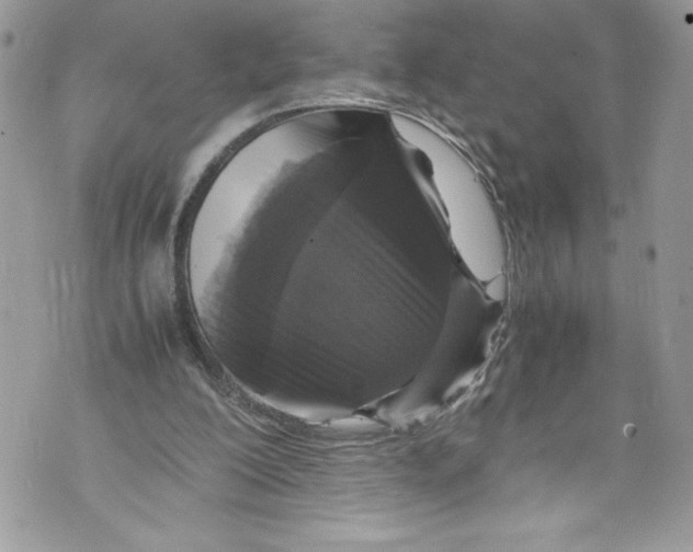 X0000071860200200607290205