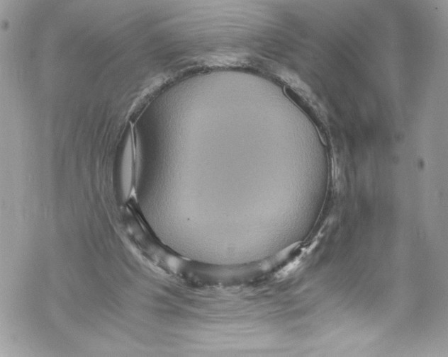 X0000071860201200607290205