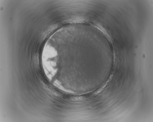 X0000071860202200607290205