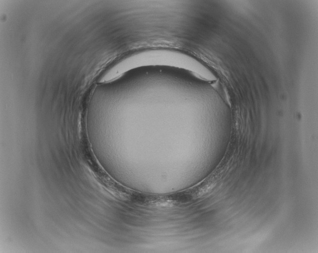 X0000071860206200607290205