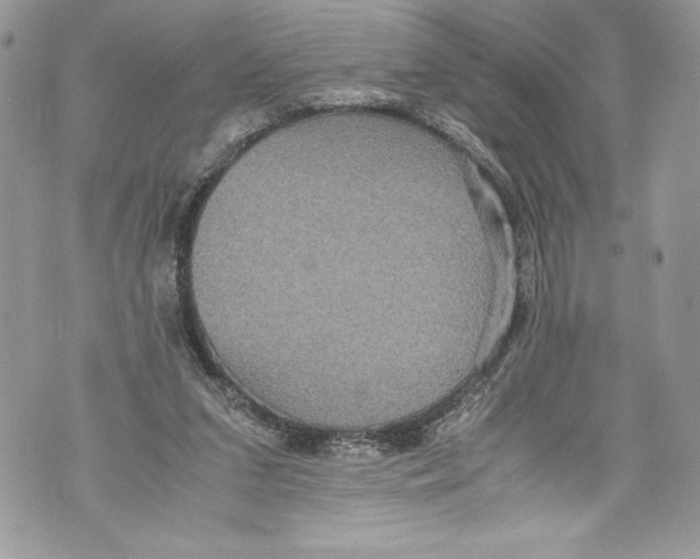 X0000071860207200607290205