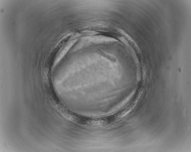 X0000071860209200607290205