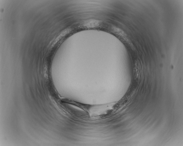 X0000071860212200607290205