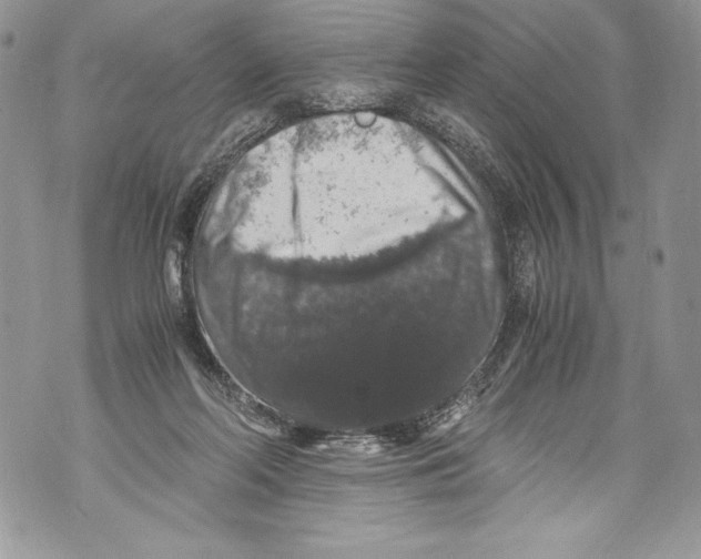 X0000071860214200607290205