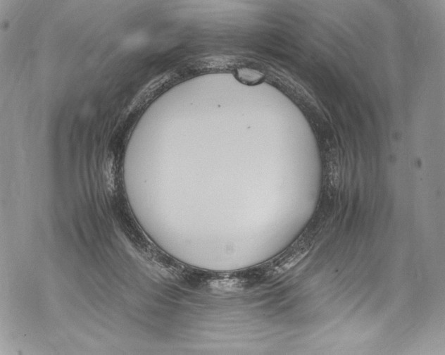 X0000071860216200607290205