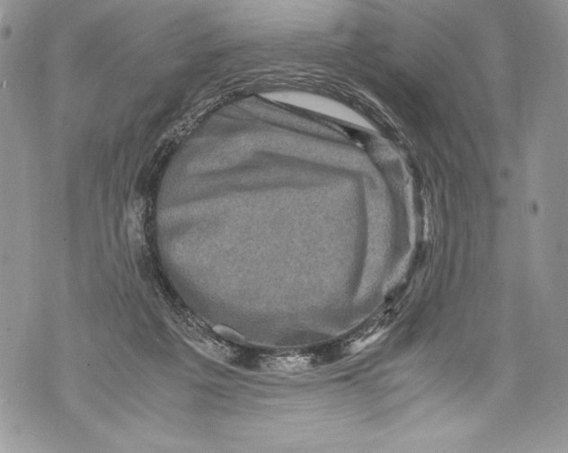 X0000071860217200607290205