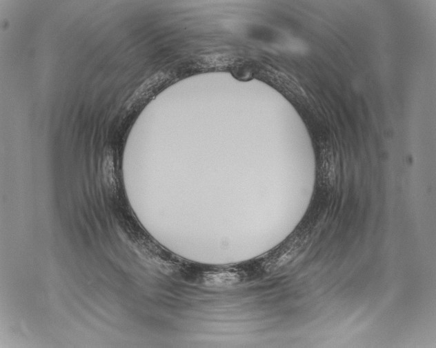 X0000071860220200607290205