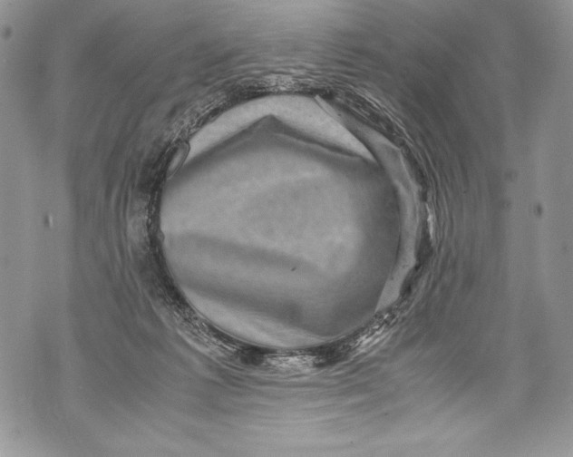 X0000071860221200607290205