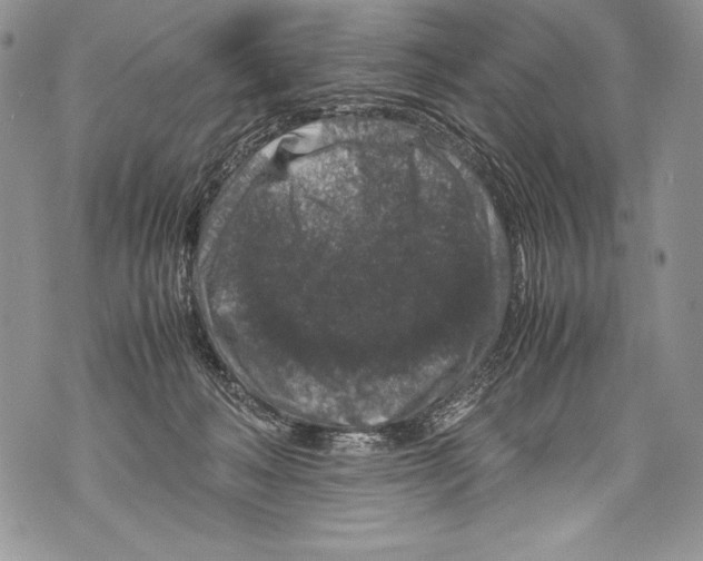 X0000071860222200607290205