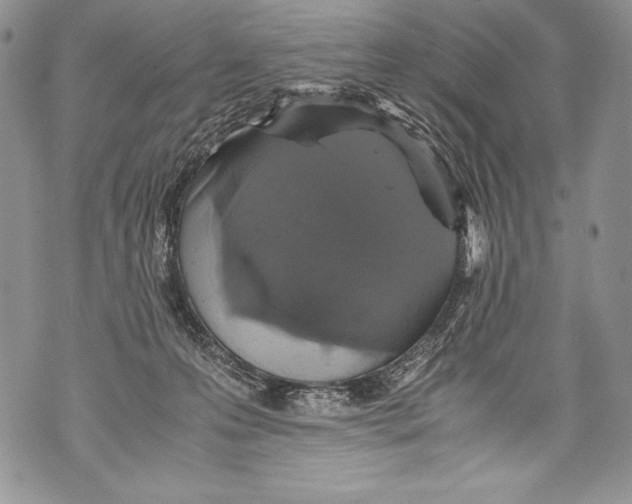 X0000071860223200607290205