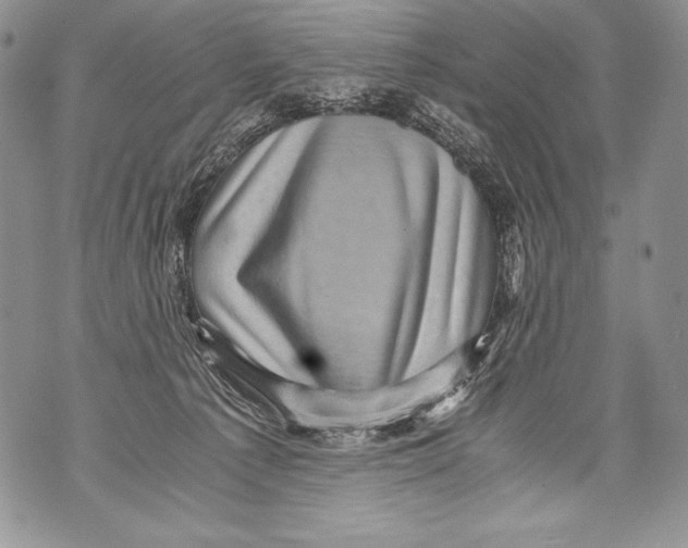 X0000071860225200607290205