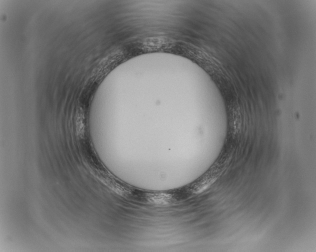 X0000071860226200607290205