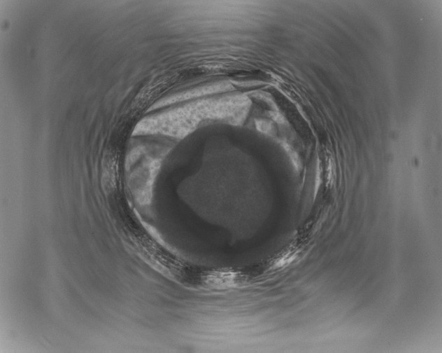 X0000071860227200607290205