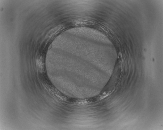 X0000071860228200607290205