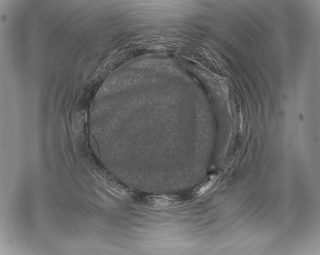 X0000071860229200607290205