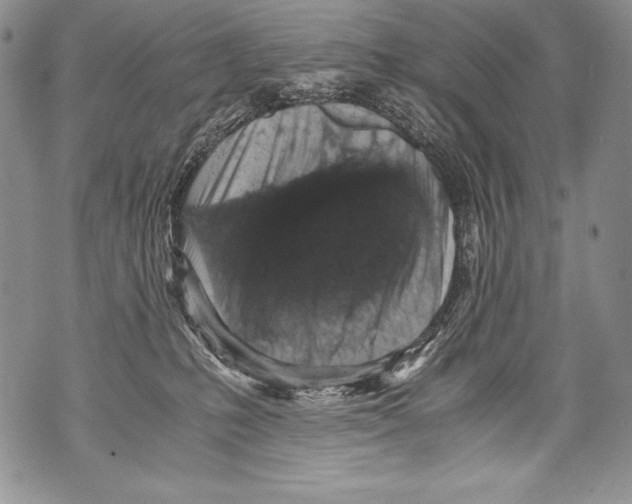 X0000071860231200607290205