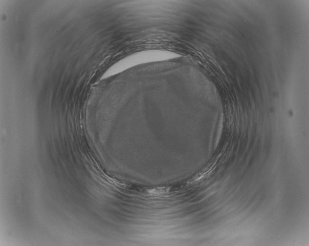 X0000071860232200607290205