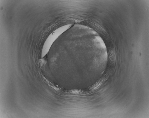 X0000071860233200607290205